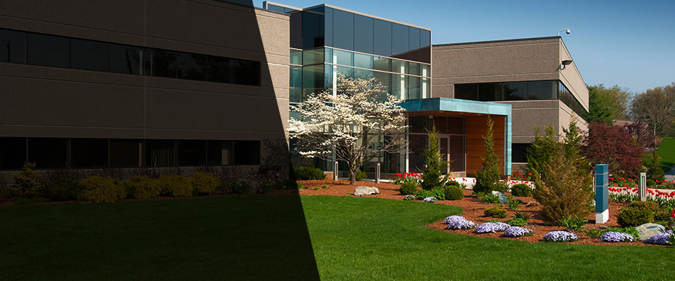 Highland Park Landscapers